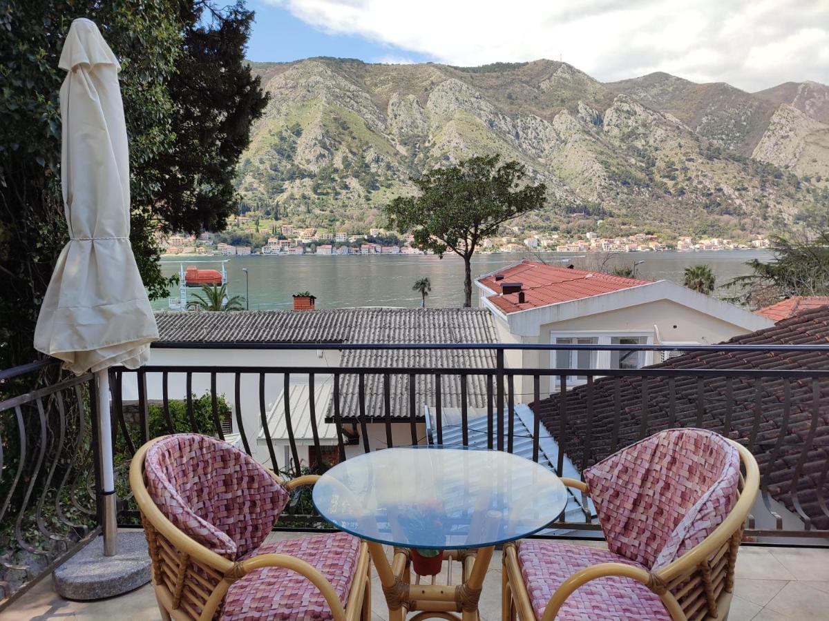 Bay Mola Aparts Daire Kotor
